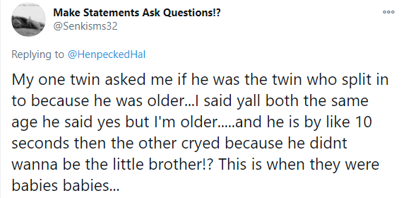 Twin Toddler